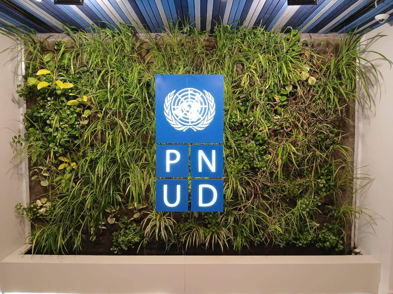 WhatsApp Image 2025-10-31 at 14.15.13