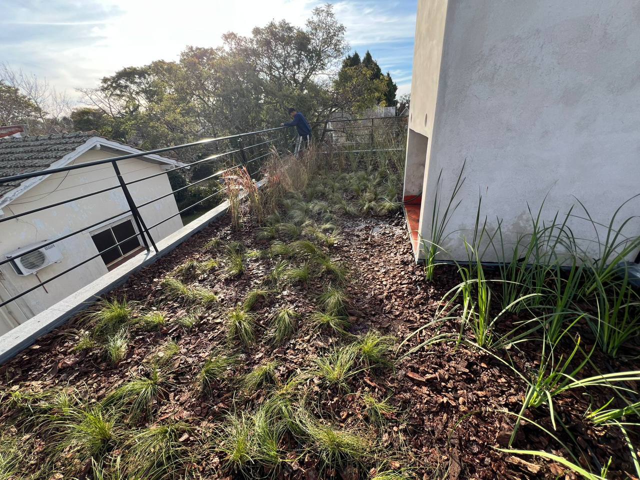 photo_1016@09-07-2025_19-12-50