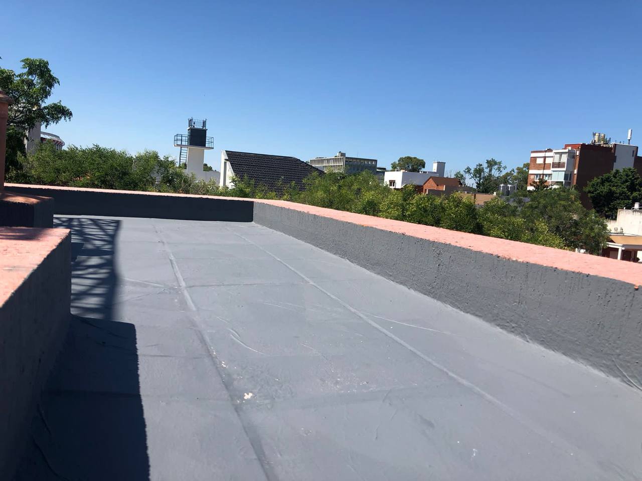 photo_303@19-01-2024_18-05-52