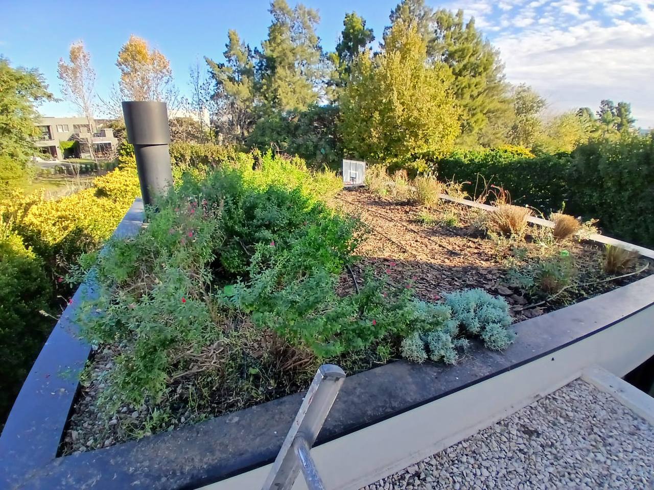 photo_912@27-05-2025_11-41-40